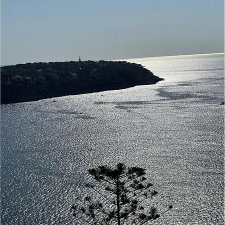 Magnifique Studio, Elegant, Au Coeur De Appartement