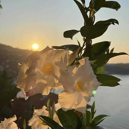 شقة Magnifique Studio, Elegant, Au Coeur De *